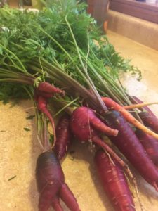 don't throw out those carrot tops... they make great hummus or pesto